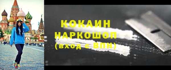 бошки Каменка