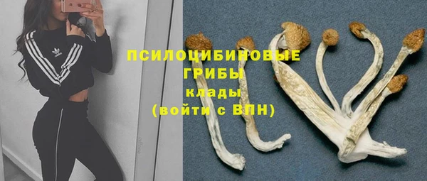 кокаин колумбия Каменногорск