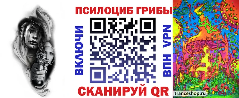 купить наркотик  Артём  гидра ССЫЛКА  Псилоцибиновые грибы Psilocybine cubensis 
